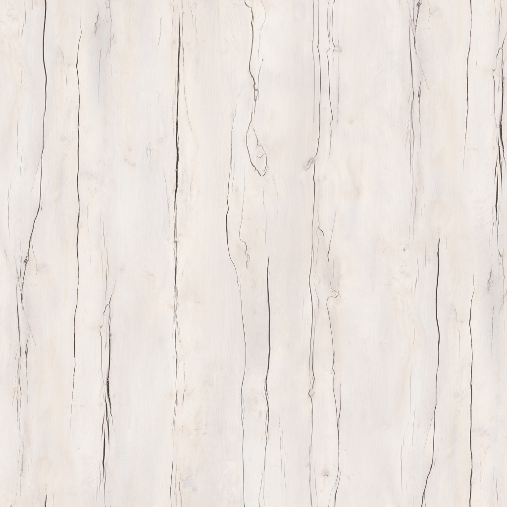 taxonia_b_3000 (1).jpg