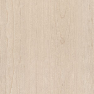 бук тиара.jpg