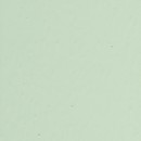 тон фисташковый.jpg