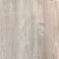 сосна эдмонт.jpg