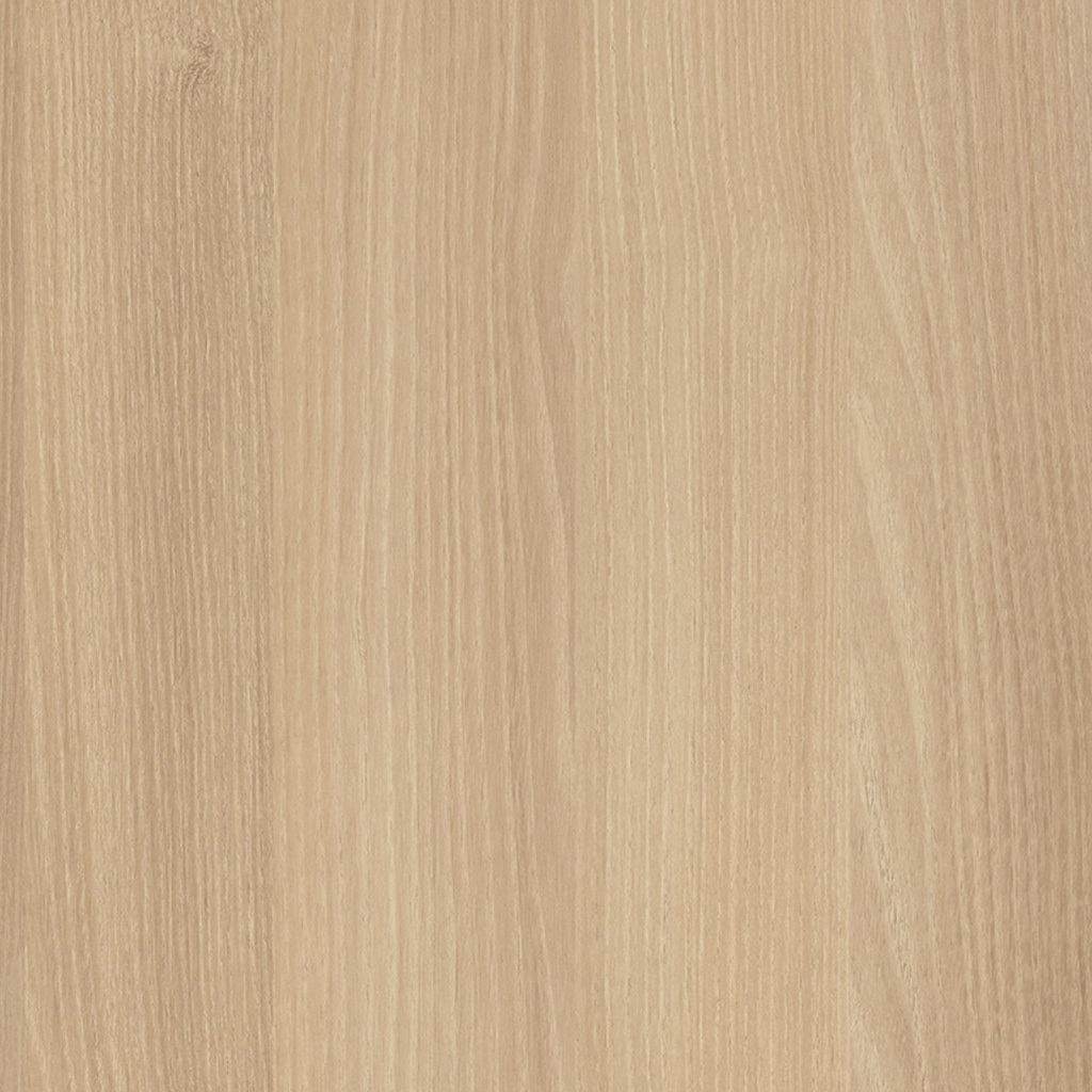 Акация Лорка.jpg