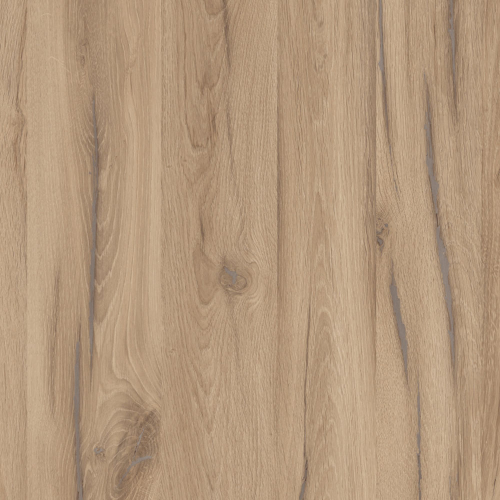 Дуб денвер светлый.jpg