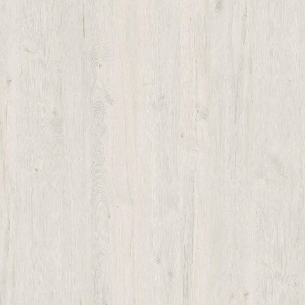 Дуб Наварра.jpg